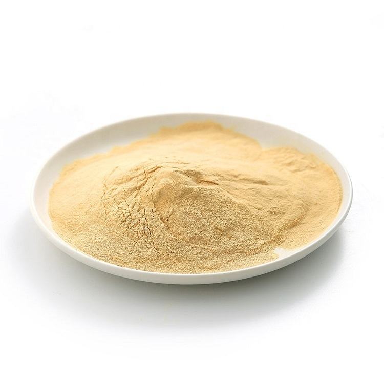 yeastes